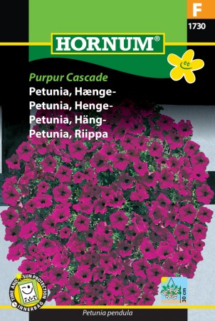 Petunia, Henge- 'Purpur Cascade' (Petunia pendula)