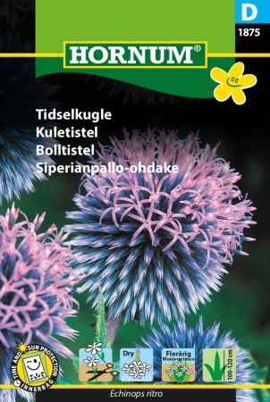 Kuletistel  (Echinops ritro)