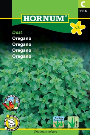 Oregano 'Dost' (Origanum vulgare)