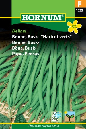 Bønne, Busk- 'Delinel' (Phaseolus vulgaris nanus)