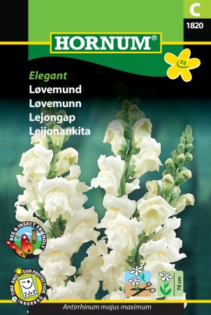 Løvemunn 'Elegant' (Antirrhinum majus maximum)