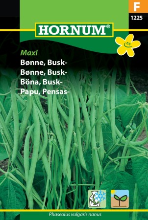 Bønne, Busk- 'Maxi' (Phaseolus vulgaris nanus)