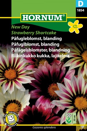 Påfuglblomst, blanding 'New Day Strawberry Shortcake' (Gazania splendens)