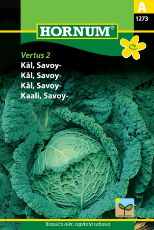 Kål, Savoy- 'Vertus 2' (Brassica oler. capitata sabaud)