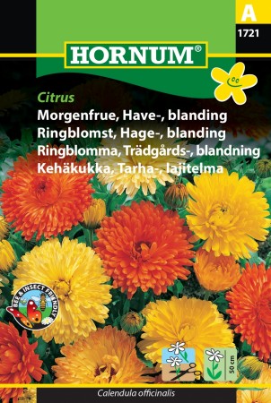 Ringblomst, Hage-, blanding 'Citrus' (Calendula officinalis)