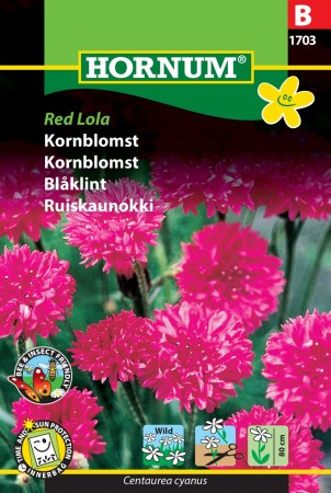 Kornblomst 'Red Lola' (Centaurea cyanus)