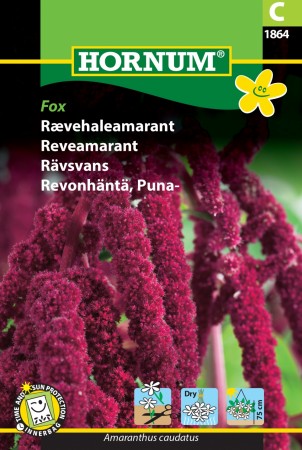 Reveamarant 'Fox' (Amaranthus caudatus)