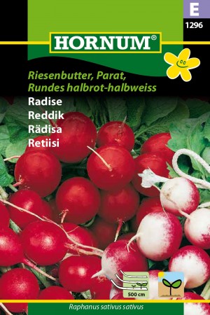 Reddik 'Riesenbutter, Parat, Rundes halbrot-halbweiss' (Raphanus sativus sativus)