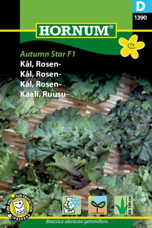 Kål, Rosen- 'Autumn Star F1' (Brassica oleracea gemmifera)