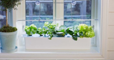 LED plantelys startpakke