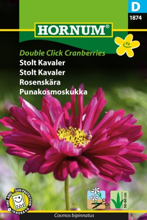 Pyntekorg 'Double Click Cranberries' (Cosmos bipinnatus)