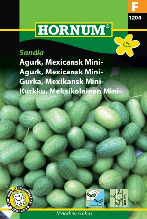 Agurk, Mexicansk Mini- 'Sandia' (Melothria scabra)
