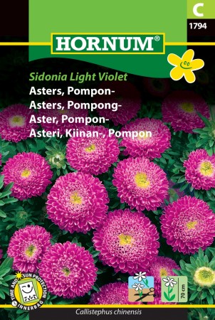 Asters, Pompong- 'Sidonia Light Violet' (Callistephus chinensis)