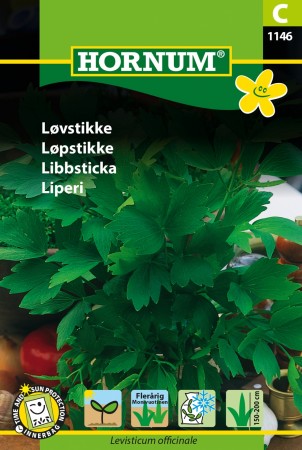 Løpstikke (Levisticum officinale)