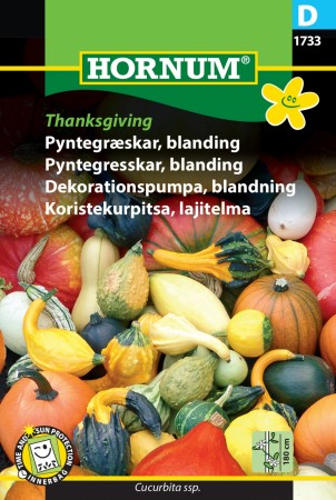 Pyntegresskar, blanding 'Thanksgiving' (Cucurbita ssp.)