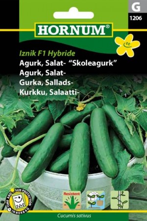Agurk, -snacks 'Iznik' (cucumus s.)