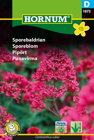 Sporeblom (Centranthus ruber)
