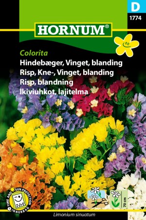 Risp, Kne-, Vinget, blanding 'Colorita' (Limonium sinuatum)