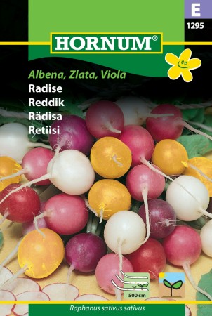 Reddik 'Albena, Zlata, Viola' (Raphanus sativus sativus)