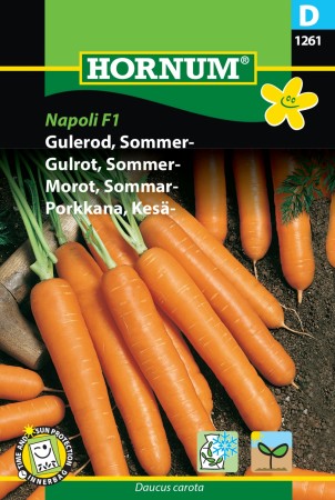 Gulrot, Sommer- 'Laguna F1 Hybride' (Daucus carota)