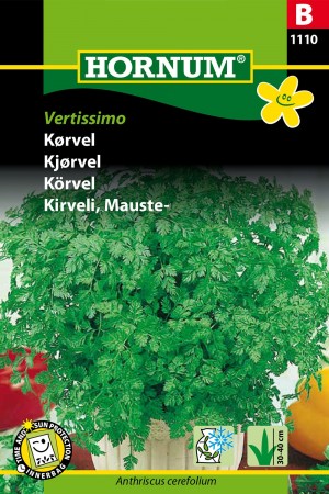 Kjørvel 'Vertissimo' (Anthriscus cerefolium)
