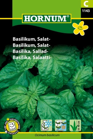 Basilikum, Salat- (Ocimum basilicum)