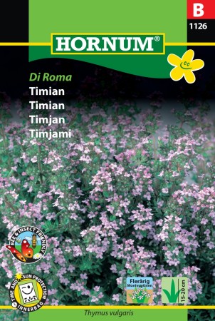 Timian 'Di Roma' (Thymus vulgaris)