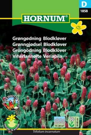 Grønngjødsel Blodkløver '' (Trifolium incarnatum)