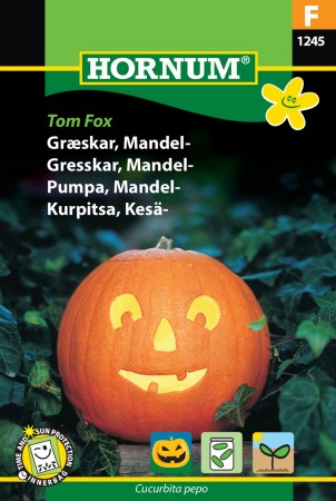 Gresskar, Mandel- 'Tom Fox' (Cucurbita pepo)