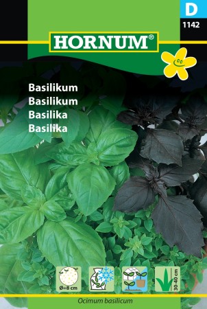 Basilikum (Ocimum basilicum)