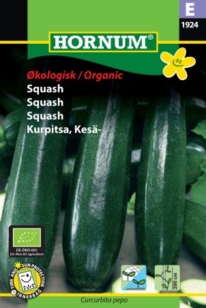 Squash 'Partenon F1' (Curcurbita pepo)