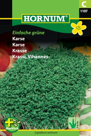 Karse (MaxiPack) 'Einfache grüne' (Lepidium sativum)