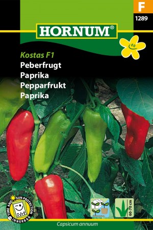 Paprika 'Kostas F1' (Capsicum annuum)