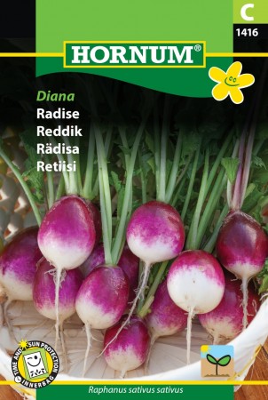 Reddik 'Diana' (Raphanus sativus sativus)