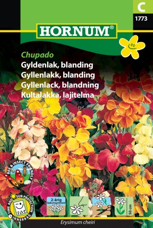 Gyllenlakk, blanding 'Chupado' (Erysimum cheiri)