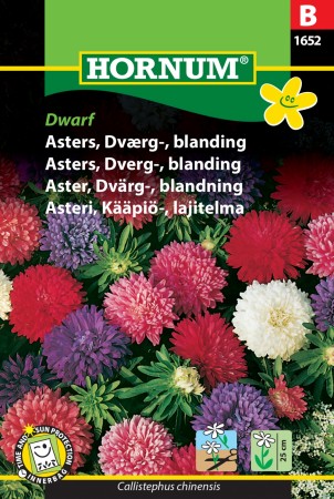 Asters, Dverg-, blanding 'Dwarf' (Callistephus chinensis)