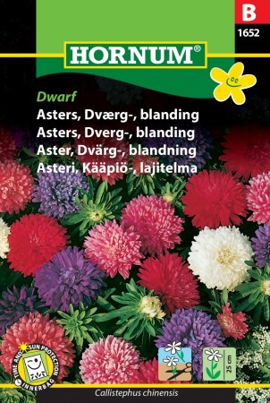 Asters, Dverg-, blanding 'Dwarf' (Callistephus chinensis)