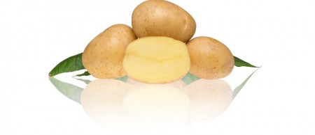 Settepotet 'Solist'  Tidligsort   1kg