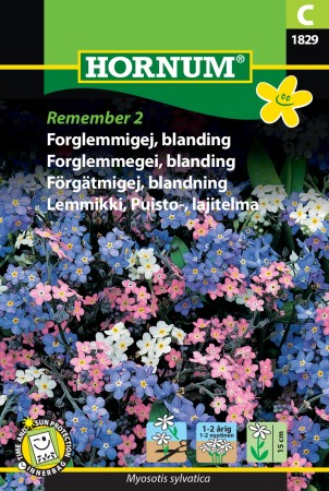 Forglemmegei, blanding 'Remember 2' (Myosotis sylvatica)