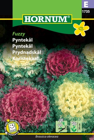 Pyntekål 'Fuzzy' (Brassica oleracea)
