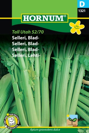 Selleri, Blad- 'Tall Utah 52/70' (Apium graveolens dulce)