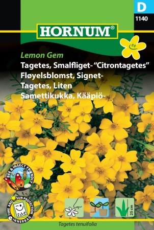 Fløyelsblomst, Signet- 'Lemon Gem' (Tagetes tenuifolia)