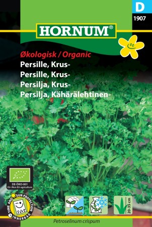 Persille, Krus- 'Grüne Perle' (Petroselinum crispum)