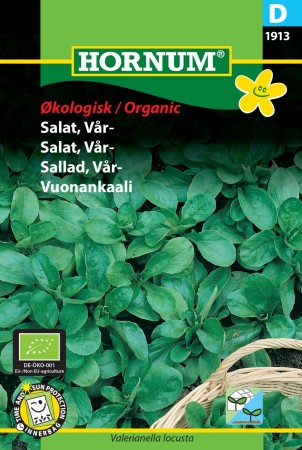 Salat, Vår- 'Vit' (Valerianella locusta)