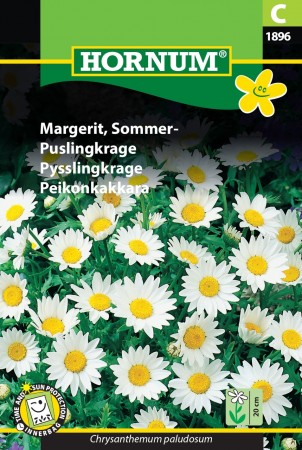 Puslingkrage  (Chrysanthemum paludosum)