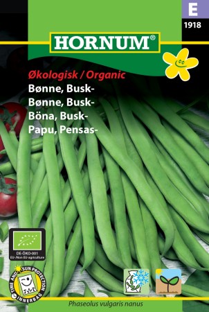 Bønne, Busk- 'Maxi' (Phaseolus vulgaris nanus)