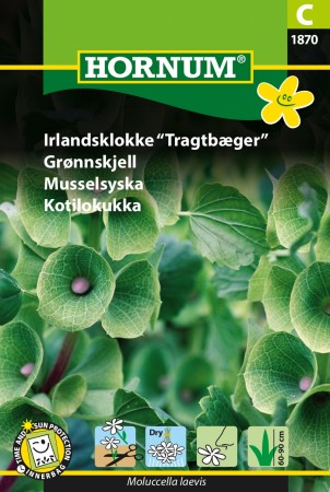 Grønnskjell (Moluccella laevis)