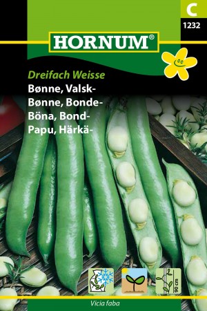 Bønne, Bonde- 'Dreifach Weisse' (Vicia faba)